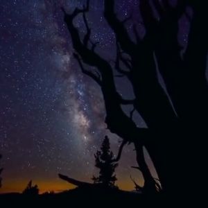 Meet your Posher, Arantza